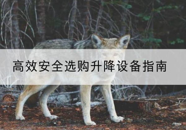 霍邱升降货梯厂家推荐-*安全选购升降设备指南