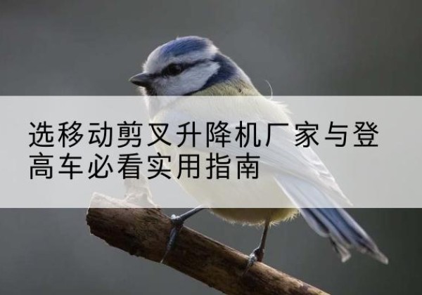 霍邱电动升降机厂家-选移动剪叉升降机厂家与登高车必看实用指南