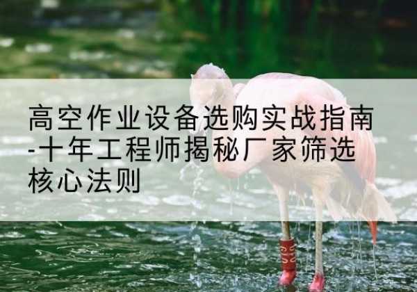 霍邱剪叉式升降机厂家-高空作业设备选购实战指南-十年工程师揭秘厂家筛选核心法则